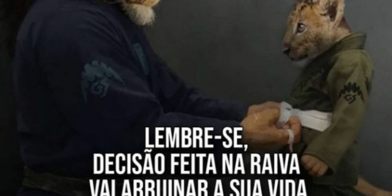 LEMBRE-SE, DECISÃO FEITA NA RAIVA VAI ARRUINAR A SUA VIDA.